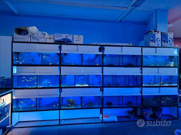 acquario batteria negozio marino