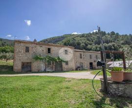 CASA INDIPENDENTE A MONTEBUONO