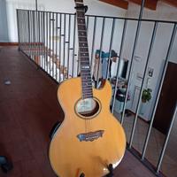 Chitarra acustica Washburn Millennium Ediz. Limit.