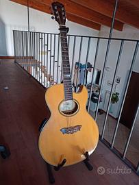 Chitarra acustica Washburn Millennium Ediz. Limit.