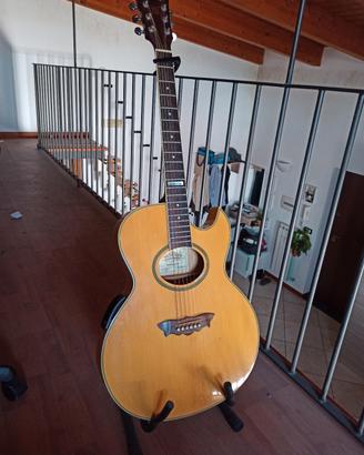 Chitarra acustica Washburn Millennium Ediz. Limit.