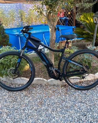 Bici elettrica