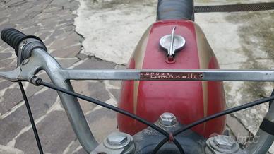 STORNELLO SPORT 1967