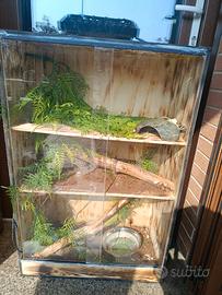 Terrario per rettili