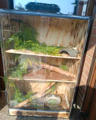Terrario per rettili