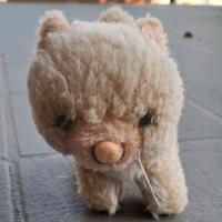 Peluche gatto beige