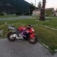 homda cbr 600 rr