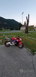 homda cbr 600 rr