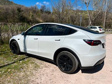 Tesla Model Y Dual Motor