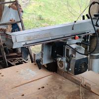 Sega squadratrice circolare DeWalt DW 8001