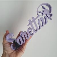 Scritta 3D Saretta