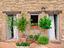 Immagine 27