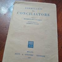 Formulario del conciliatore - testo vintage
