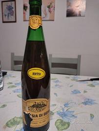 ANTICA BOTTIGLIA DI  MALVASIA