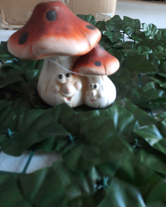 Fungi