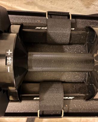 Manubri regolabili kings gym