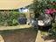 Immagine 26
