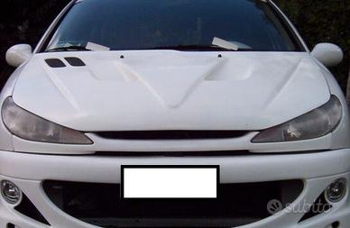 Mascherina radiatore PEUGEOT 206 no logo
