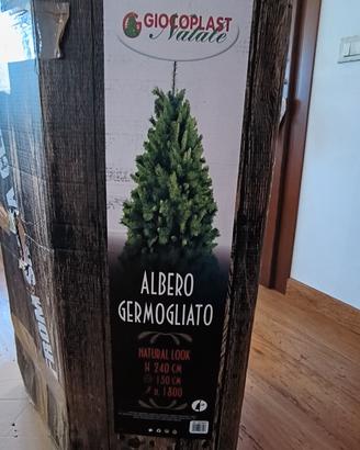 albero di Natale 