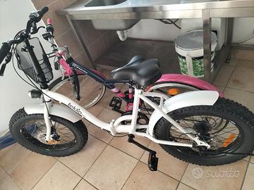 Fat bike