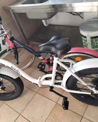 Fat bike