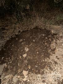 Concimi Letame galline o maiali