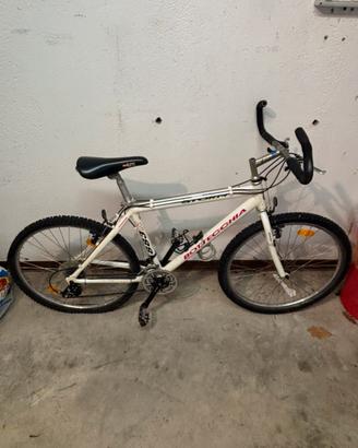 Bicicletta bainca