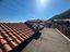 Immagine 29