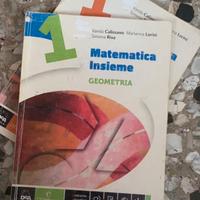 Libro geometria