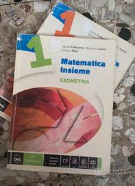 Libro geometria