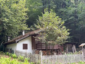 Baita in legno nel bosco