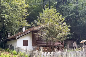 Baita in legno nel bosco