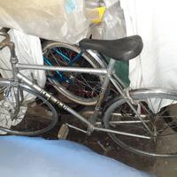 bicicletta condorino Leri 24