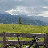 Trek Procaliber 9.8 2023