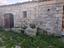 Immagine 6