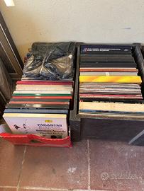 CD, Vinili, macchine fotografiche,