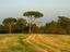 Immagine 8