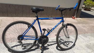 Bici uomo+donna+porta bici tetto