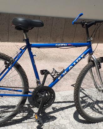 Bici uomo+donna+porta bici tetto
