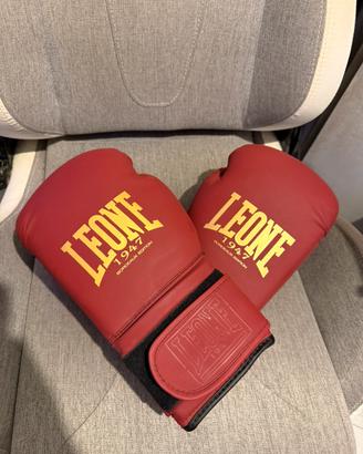 Guantoni da box Leone