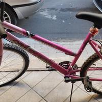 biciclette monte bike 