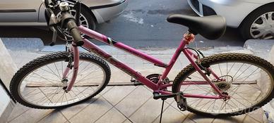 biciclette monte bike 