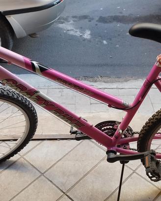 biciclette monte bike 