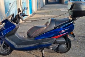 Linhai Quattrocento - 2013