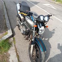 Hornet 600 