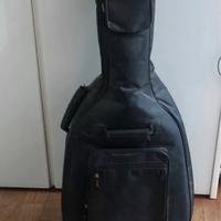 Chitarra acustica