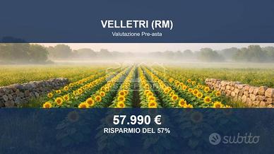 Immobile in asta di 8915 m² a Velletri