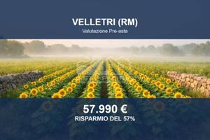 Immobile in asta di 8915 m² a Velletri