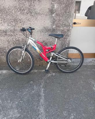 bici da mount