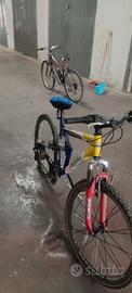 Bicicletta mountain bike marca Esperia